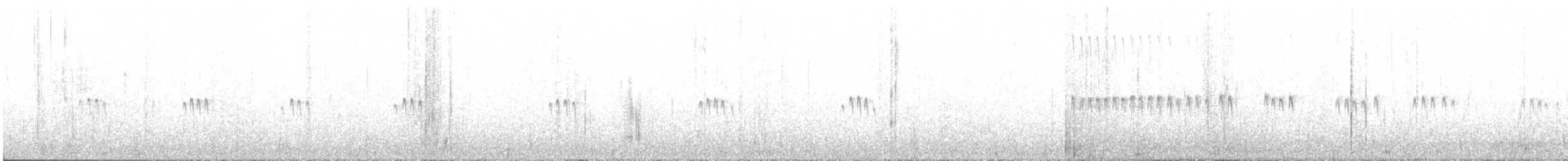 Bécasseau de Temminck - ML632251510