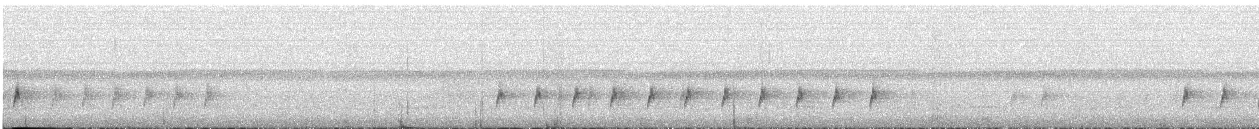 Gray Apalis - ML632252747