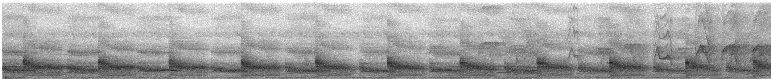 Plain Bush-hen - ML632252822
