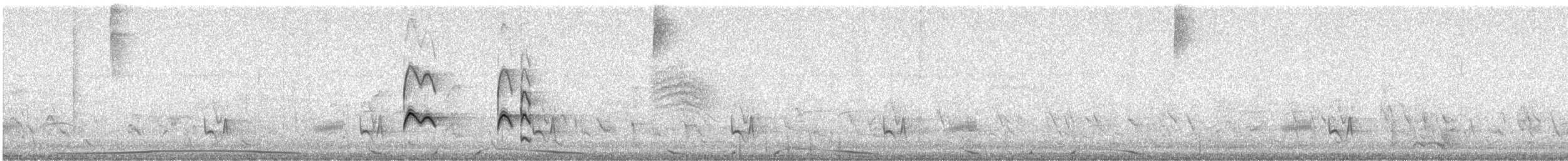 Northern Scrub-Flycatcher - ML632254466