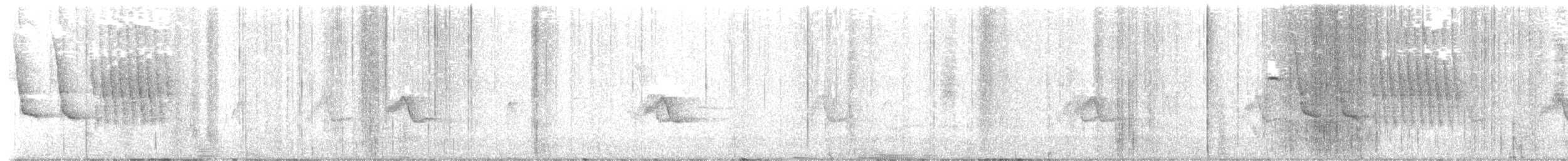 Spotted x Collared Towhee (hybrid) - ML632257375