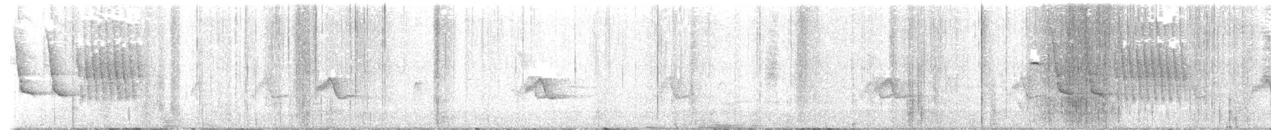 Spotted x Collared Towhee (hybrid) - ML632257424