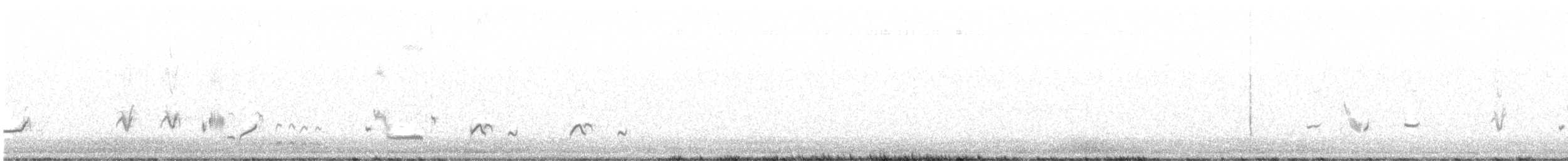 Moqueur de LeConte - ML632258917