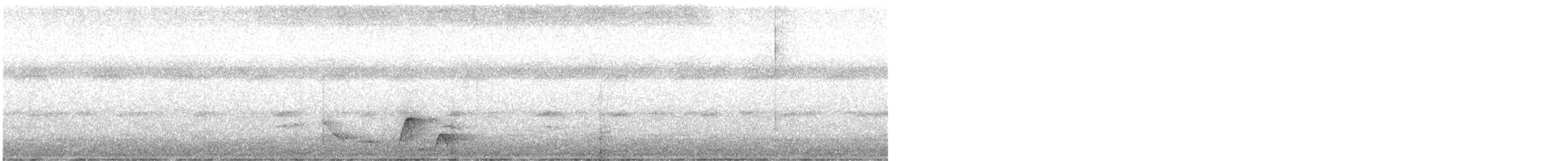 Whiskered Wren - ML632259077