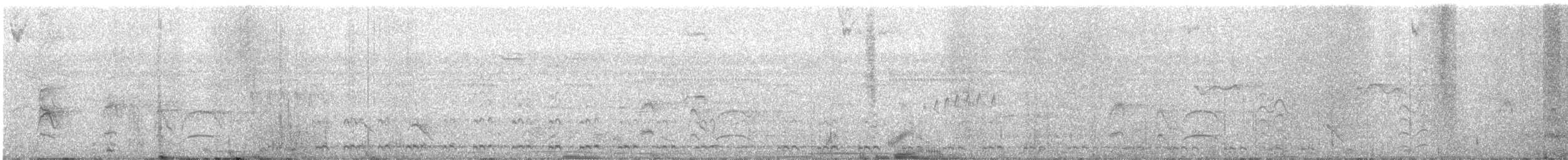 Hocco de Spix - ML632262483