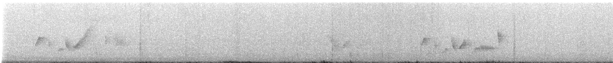 vireo sp. - ML632271938