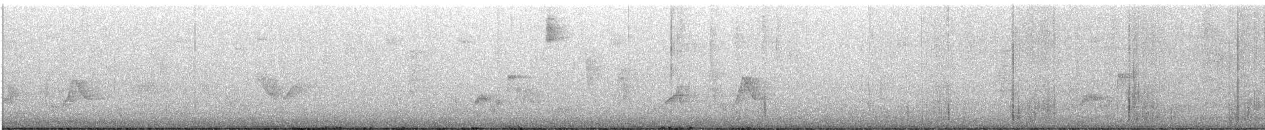 vireo sp. - ML632271940