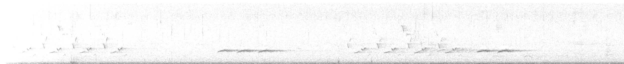 Carolina Wren - ML632272490