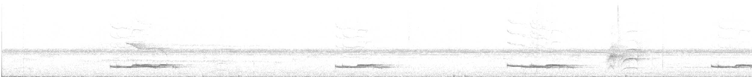 Long-tailed Manakin - ML632273835