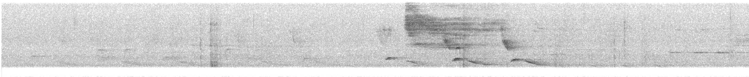 Ampelis Americano - ML632274442