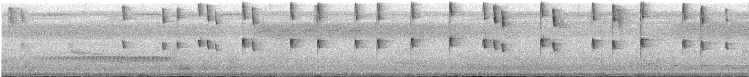 Great-billed Hermit - ML632275211