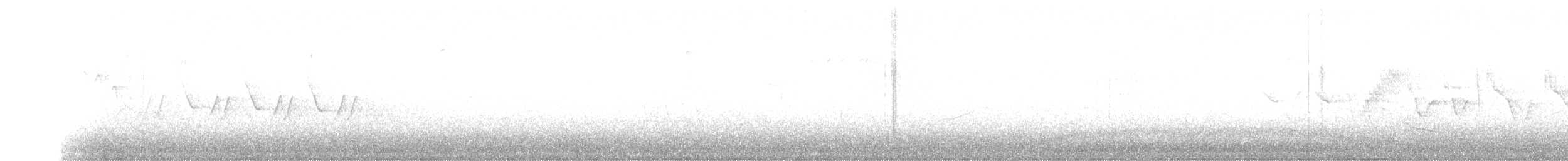 gulstrupeparula - ML632277043