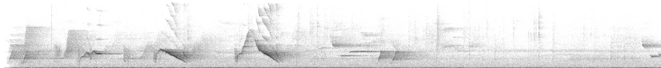 Black-faced Monarch - ML632277549
