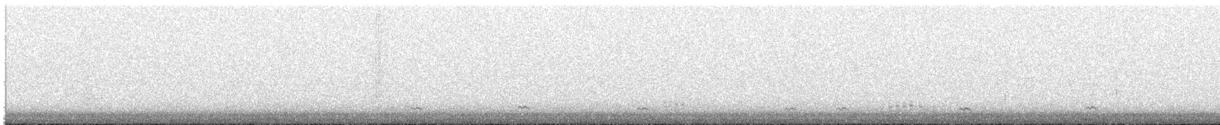 Codone - ML632279769
