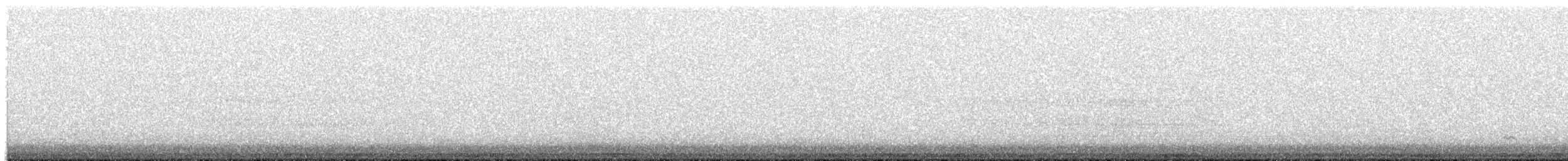Codone - ML632280654