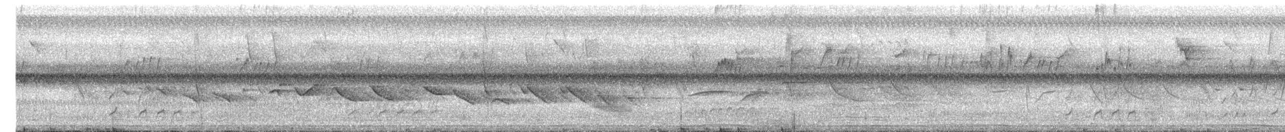 Chestnut-bellied Seed-Finch - ML632285648