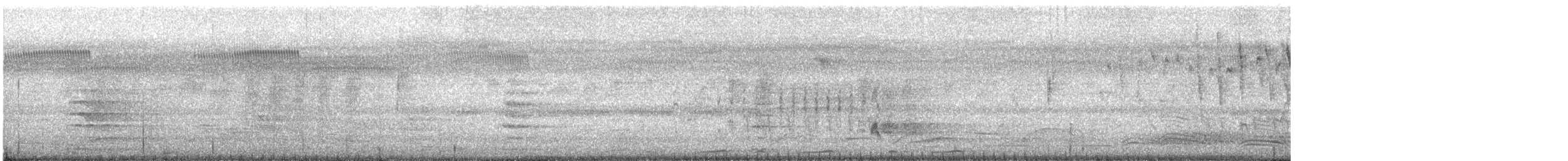 Dusky Moorhen - ML632286191
