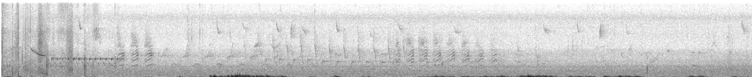 wren sp. - ML632287347