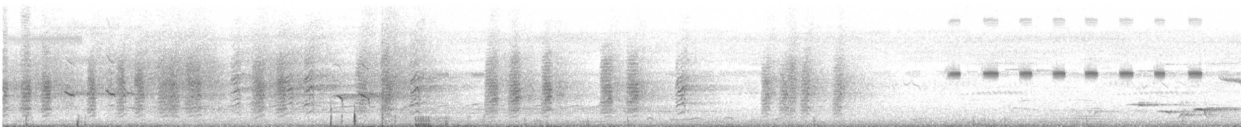 Autour blanc - ML632295597