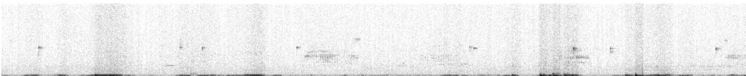 Black-fronted Dotterel - ML632296356