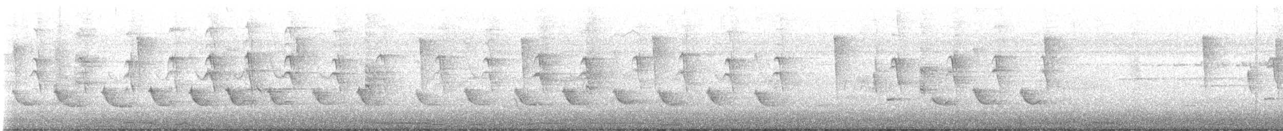 passerine sp. - ML632296406