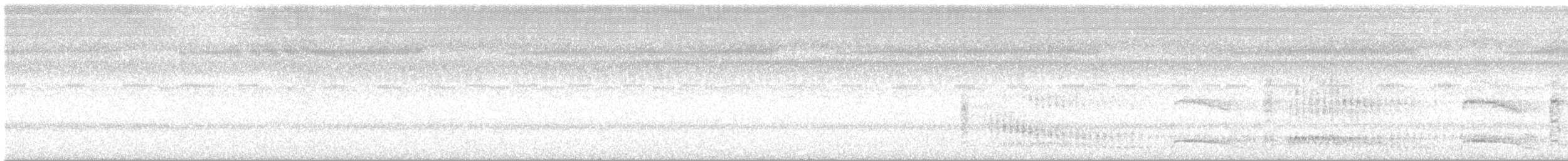 Puffin de Baillon - ML632296794