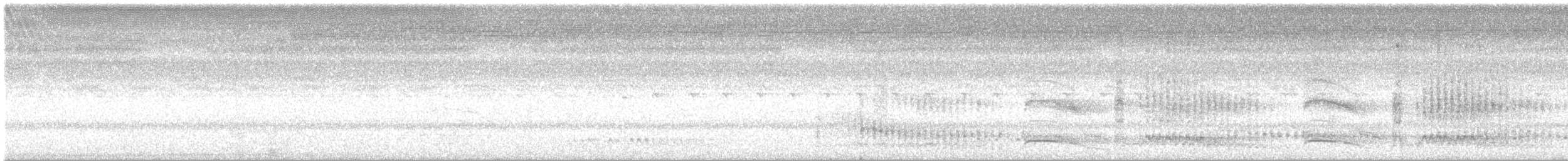 Puffin de Baillon - ML632296795