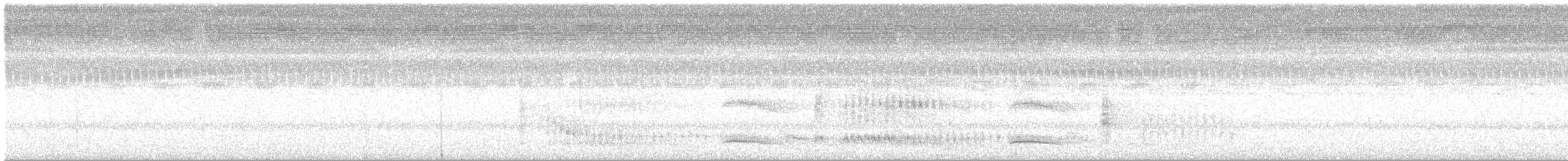 Puffin de Baillon - ML632296796