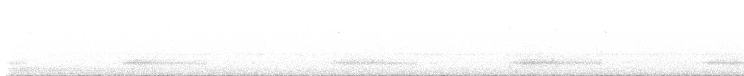 Australian Owlet-nightjar - ML632297097