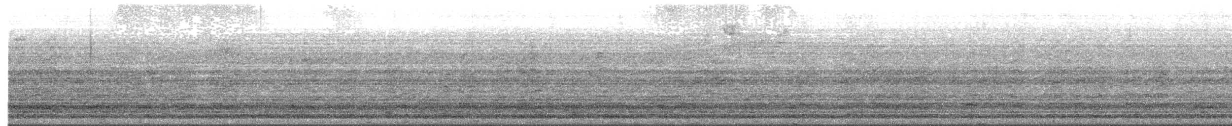 Snow Goose - ML632302479