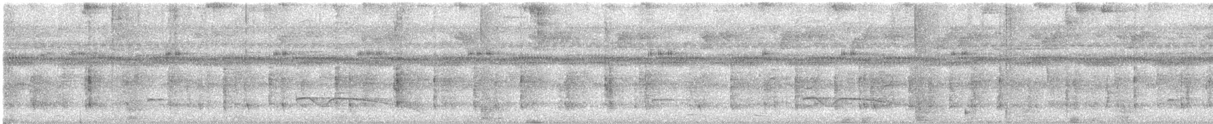 hornnattravn - ML632305003