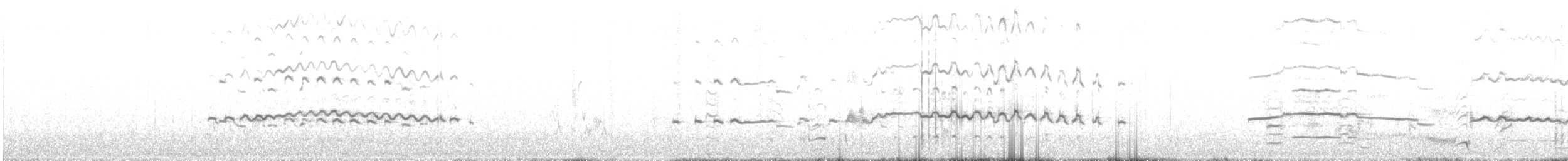 Laysan Albatross - ML632312145