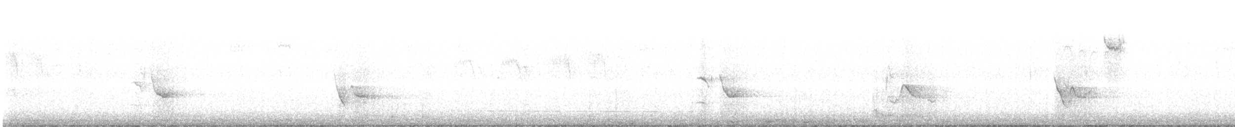 Blue-headed Vireo - ML632316277