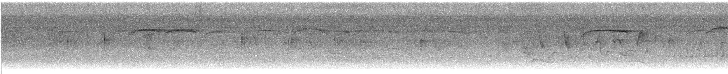 Ampelis Americano - ML632316822