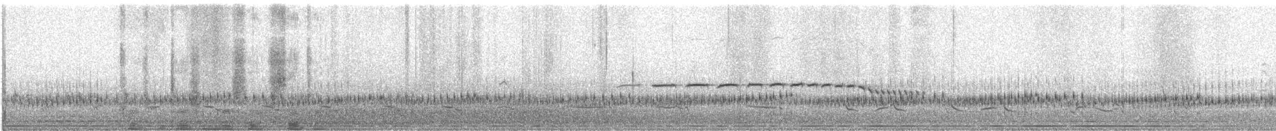 passerine sp. - ML632318964