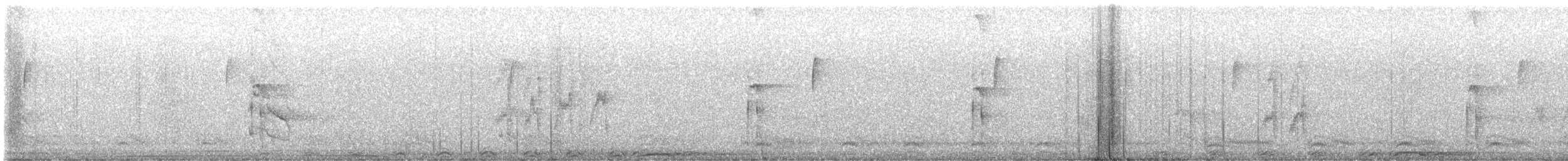 Pico Velloso (grupo villosus) - ML632325113