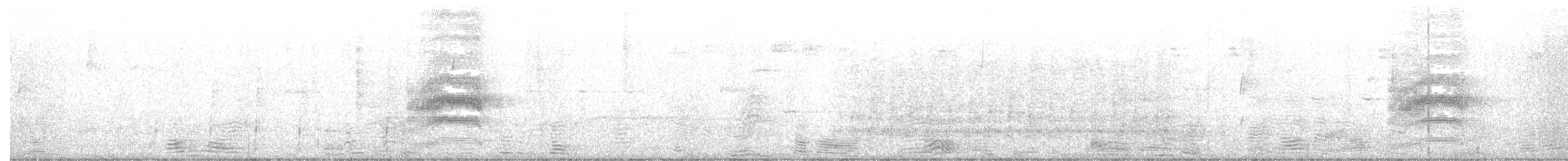 kaliforniavaktel - ML632337254