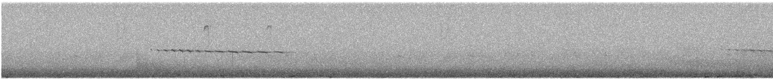 amerikameis - ML632337418