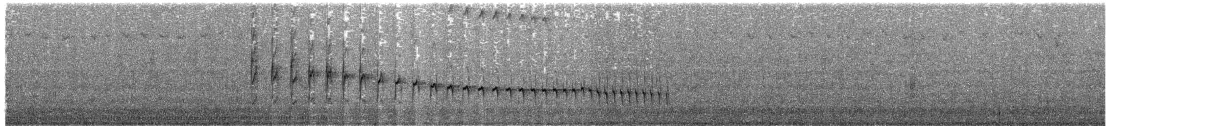 kremkronestifthale - ML632337826