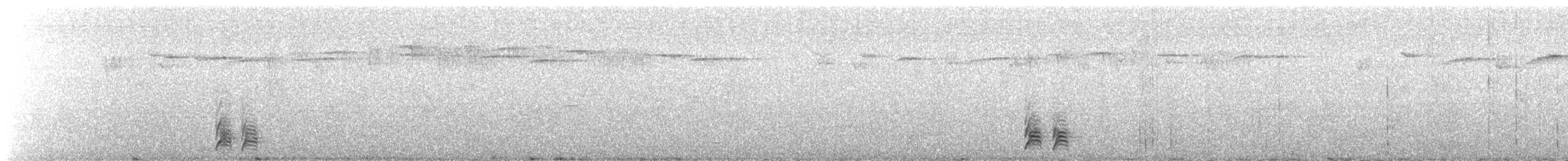 Utcubamba Tapaculo - ML632347156