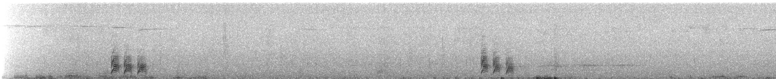 Utcubamba Tapaculo - ML632347157