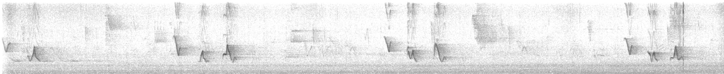 skjeggvireo - ML632347382