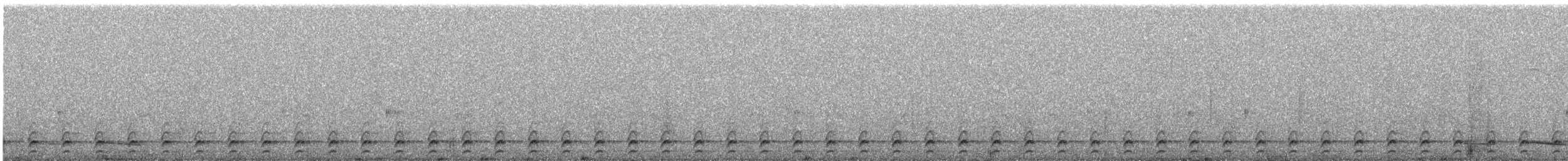 Utcubamba Tapaculo - ML632347724
