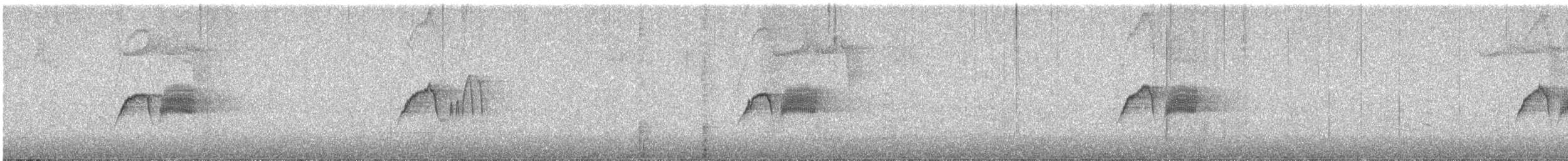 Eastern Phoebe - ML632347815