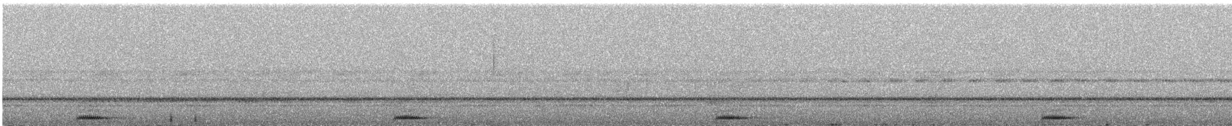 Long-whiskered Owlet - ML632348329