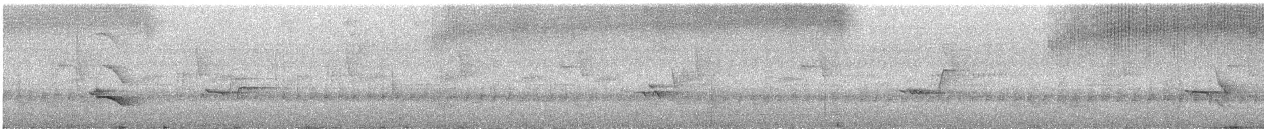 Понгіто бурий - ML632348343