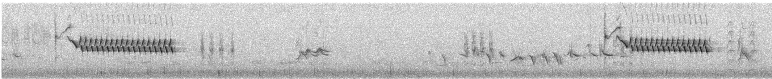 Bewick's Wren (mexicanus Group) - ML632353589