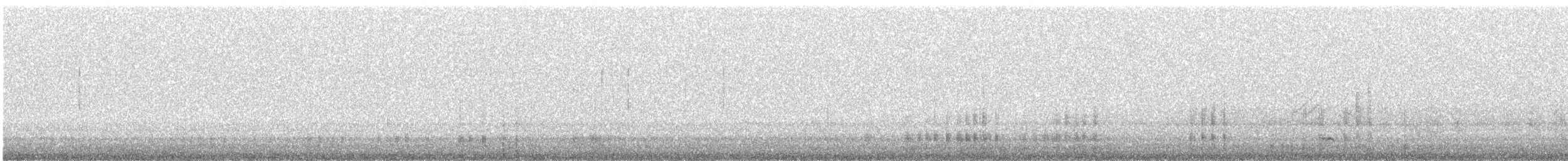 Codone - ML632354103