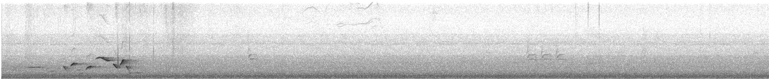 Whiskered Wren - ML632355855