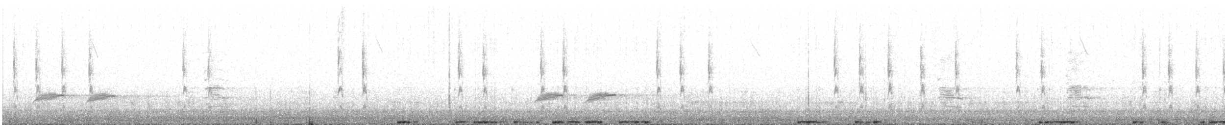 フユミソサザイ - ML632356348